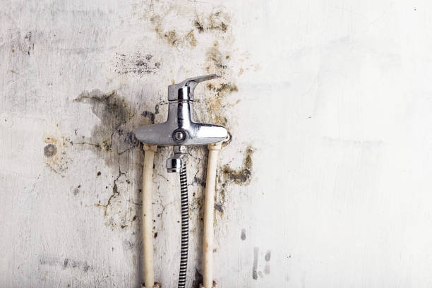 Best Mold Testing  in Crystal Lake, FL